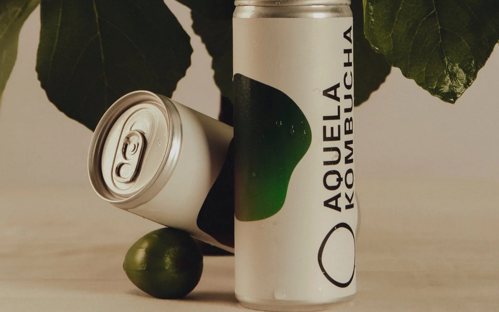 Duas latas Aquela Kombucha sobre fundo bege com folhas de figueira