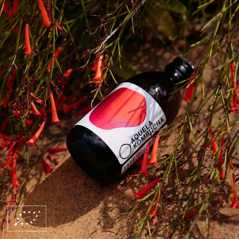Aquela Kombucha Morango — garrafa 25 cl
